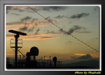 DSC_8028 copy