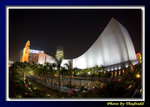 DSC_2294 copy
