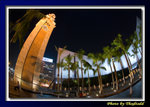 DSC_2310 copy