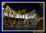 DSC_2313 copy