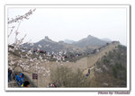 DSC_4500 copy copy
