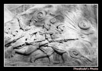 DSC_3484 copy