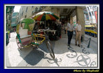 DSC_9486 copy