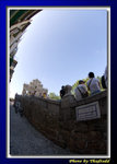 DSC_9535 copy