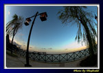 DSC_9646 copy