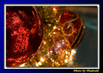 DSC_2464 copy