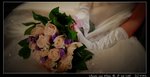 C&E_272