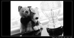 M&KM_0055