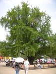 DSCN1103