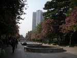 dscn5276