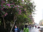 dscn5277