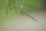 aDSC_3713