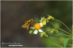 CRW_0457-01