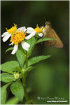 CRW_0458-01