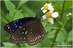 CRW_0462-01