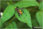 CRW_0468-01