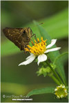 CRW_0478-01