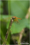 CRW_0484-01