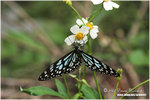CRW_0485-01