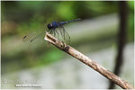 CRW_0487-01