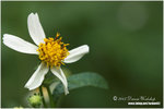 CRW_0492-01