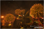 CRW_0664-01