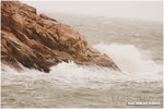 CRW_1152-01