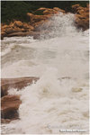 CRW_1156-01