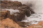CRW_1158-01