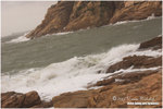 CRW_1170-01