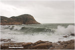 CRW_1198-01