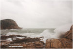 CRW_1214-01