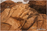 CRW_1217-02