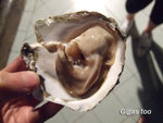 DSCF 019