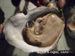 DSCF 020