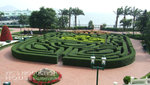 DSCF0322