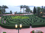 DSCF0323