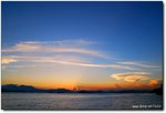 DSC_6726