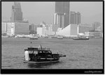 DSC_7878