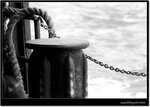DSC_7900