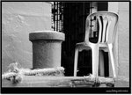DSC_7905
