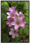 R0010645