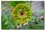 R0010186