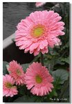 R0010207