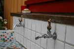 IMG_2608