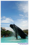 OceanMuseum05