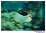 OceanMuseum09