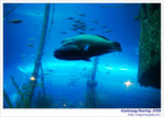 OceanMuseum15