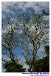 Stanley04