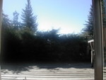 DSCN6682